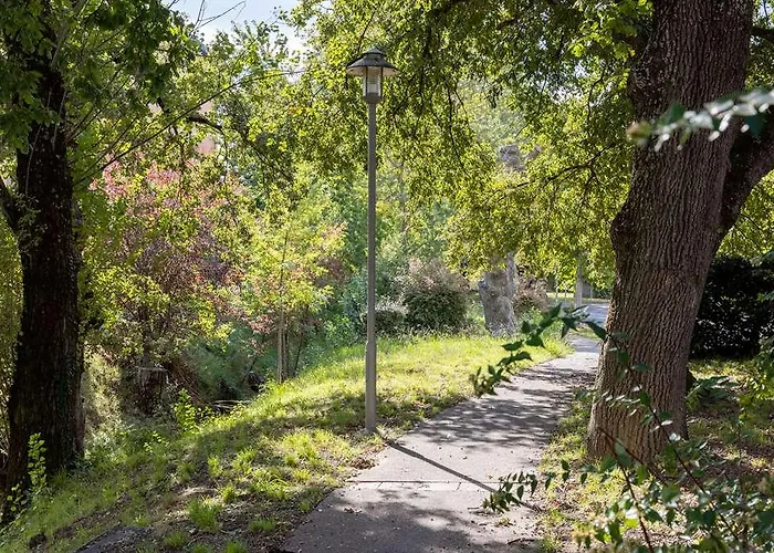 The Originals Access, Innostar 拉波格